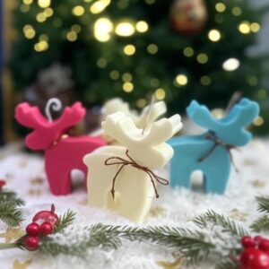 SANTA'S REINDEER